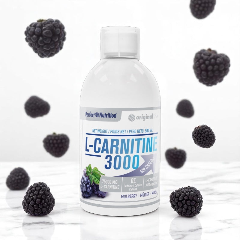 L-CARNITINE 3000 - 500 ML